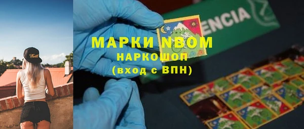 крисы Зеленодольск