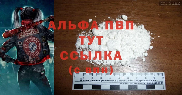 ECSTASY Новосибирск