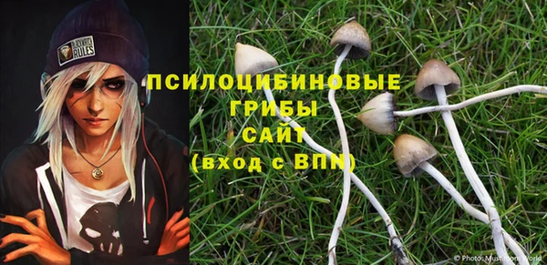 крисы Зеленодольск