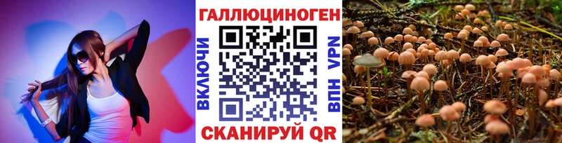 Галлюциногенные грибы Psilocybine cubensis Светлогорск