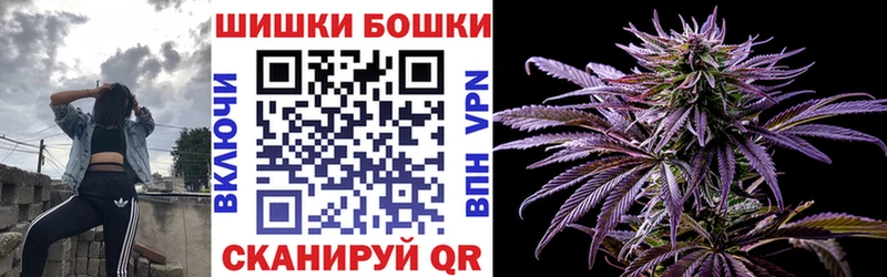 Бошки марихуана гибрид  Светлогорск 